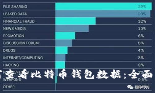 如何查看比特币钱包数据：全面指南