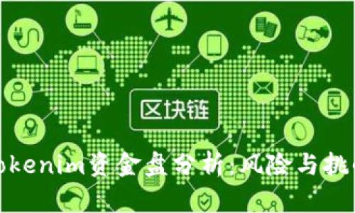 Tokenim资金盘分析：风险与挑战