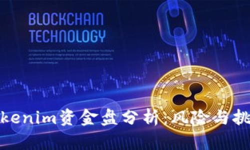 Tokenim资金盘分析：风险与挑战